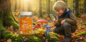 Colourful Mushrooms Found in UK Parks and Forests